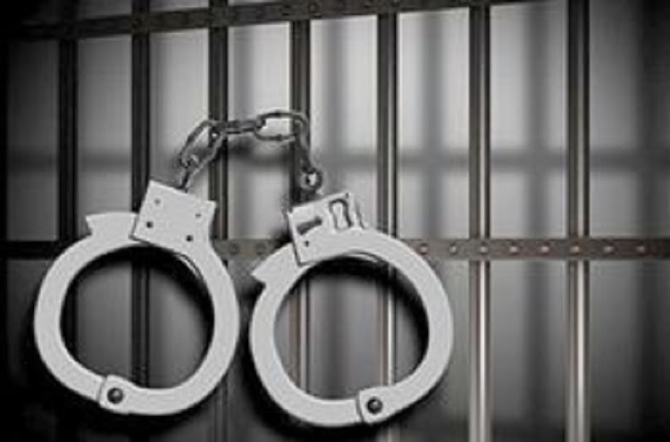 An Ermelo licencing office employee who fraudulently issued learners and driving licences to people who were not tested has been jailed.