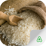 Rice Pests Apk