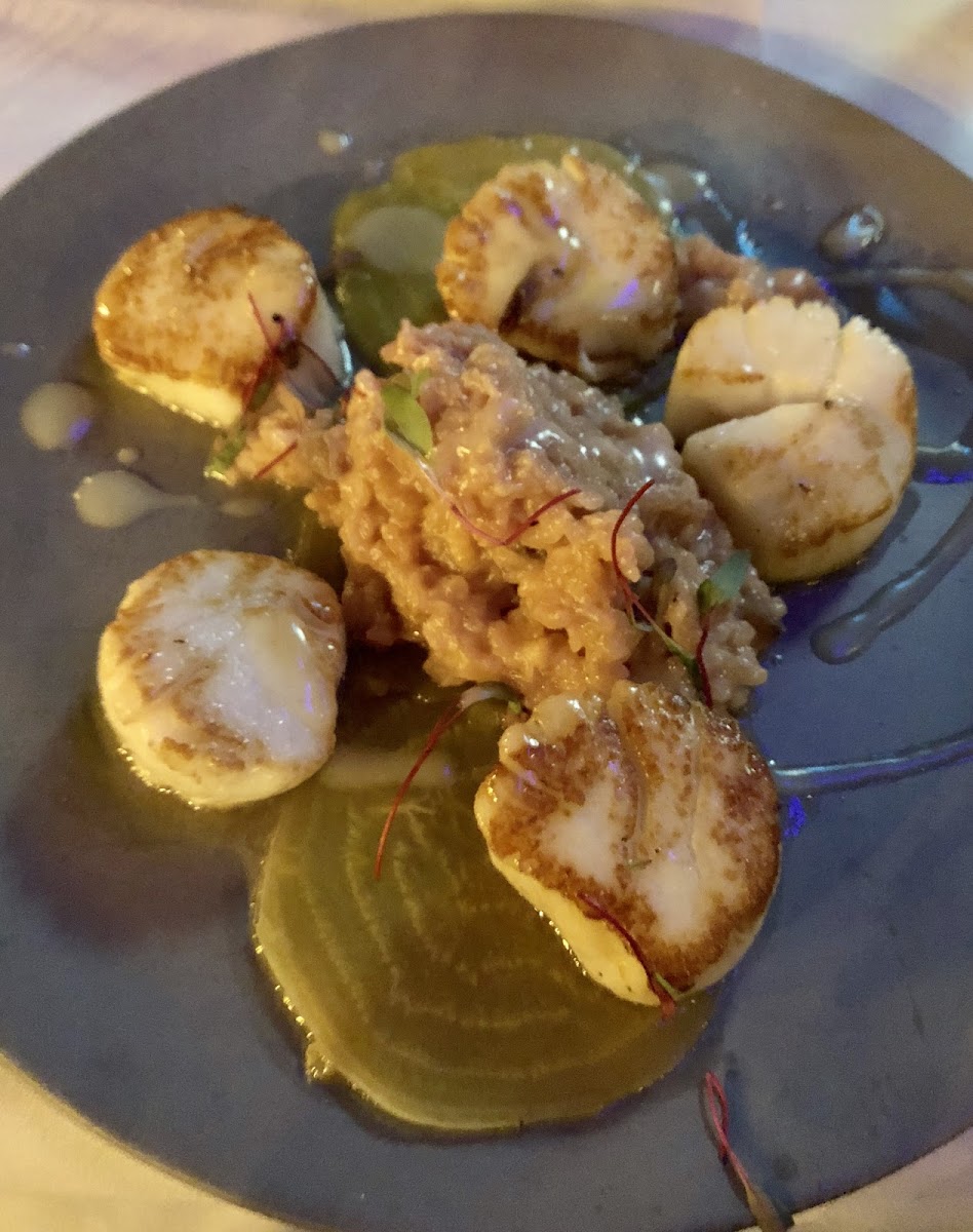 Scallops with Risotto