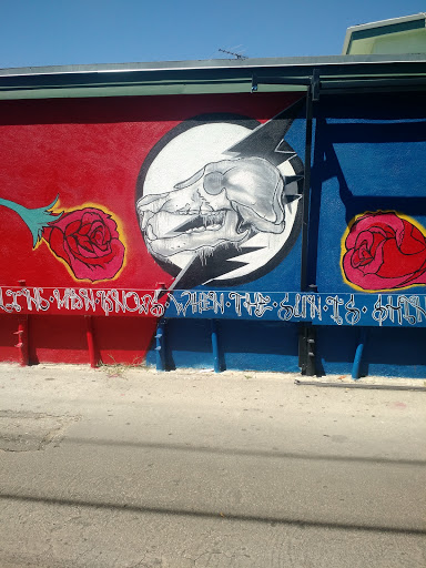 Skull and Roses Mural