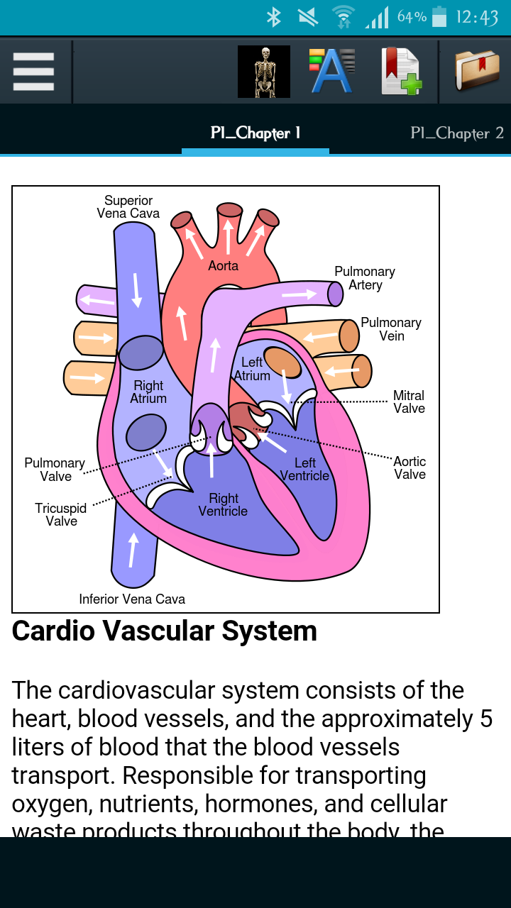 Android application Human Anatomy screenshort