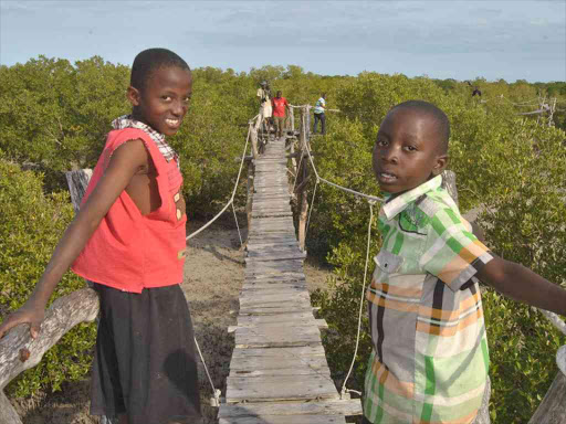 Children enjoy mangrove watch at the Mida creek board walk on July 7 2916