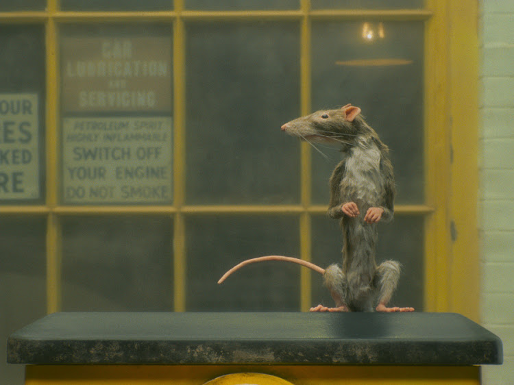 ‘The Rat Catcher’ is the last of Wes Anderson’s series of short-film adaptations of the short stories of Roald Dahl. Picture: NETFLIX