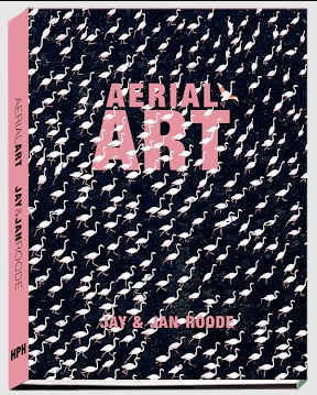The cover of 'Aerial Art' features a flamboyance of flamingos photographed in Namibia.