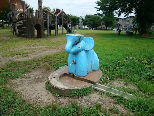 ゾウさんの水飲み場