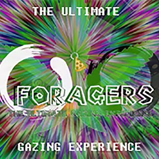 How to download Foragers 3.0 unlimited apk for bluestacks