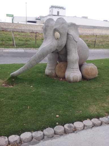 Escultura Del Elefante