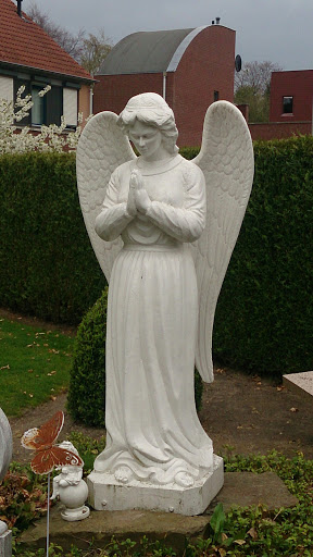 Angel