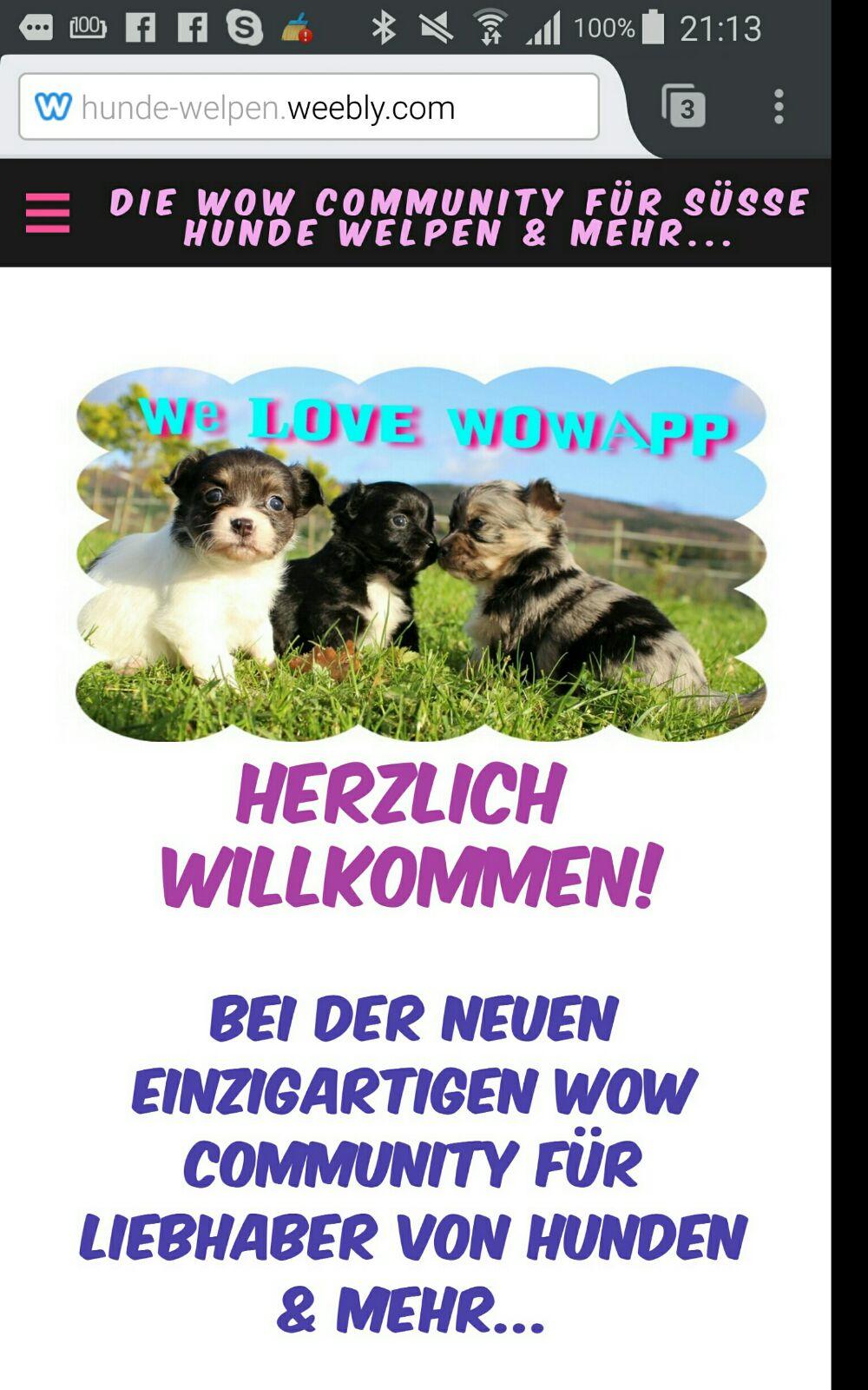 Android application WowApp Hunde &amp; Welpen Netzwerk screenshort