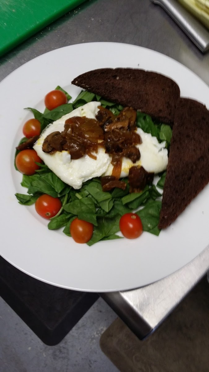 The Healthy Hippie!  Two Eggs on a bed of greens, with tomato and GF toast.  The eggs are topped wit