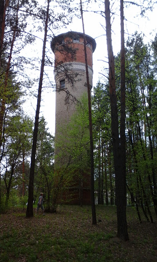 Башня В Лесу