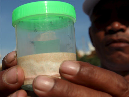 A health official shows the mosquitos which were collected to check for Zika virus, at a village in Phnom Penh, Cambodia February 4, 2016. Photo/REUTERS