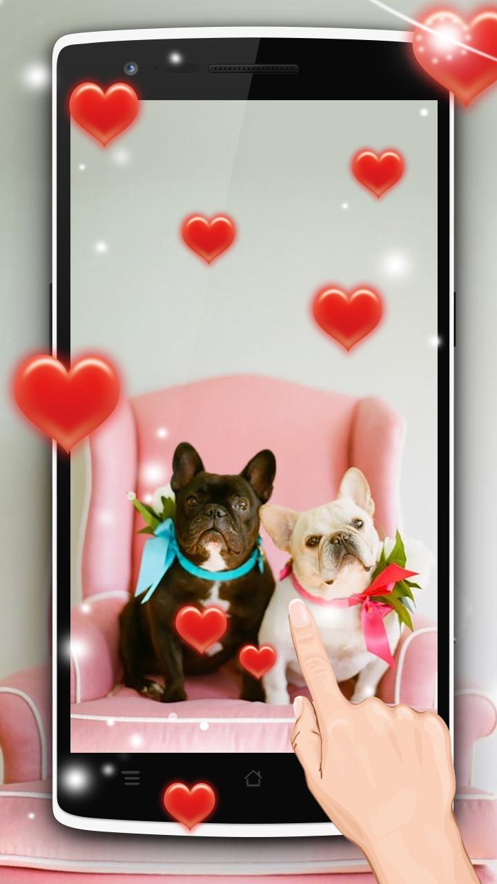 Android application Cute puppies Live Wallpaper screenshort