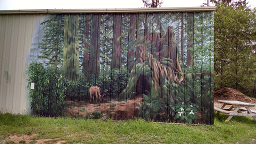 Outdoor Mural