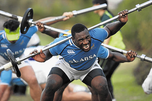 Tendai Mtawarira, nicknamed Beast by his adoring King's Park fans, takes strain during a Springbok weight training session at the Northwood High School ground in Durban North. Picture: STEVE HAAG/GALLO IMAGES