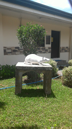 DOST- ITDI Lab Animal Center Rat Statue