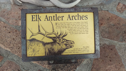 Elk Antler Arches