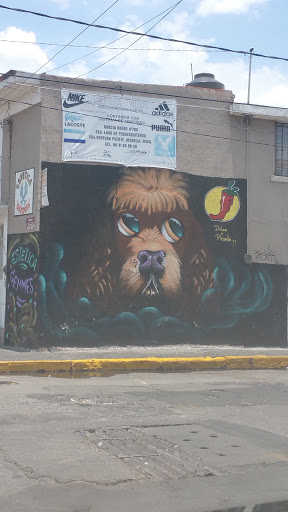 Mural Del Perro