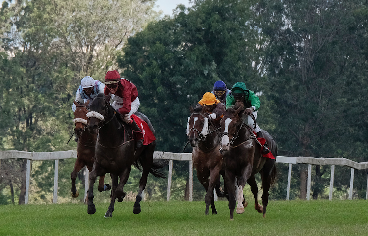 Part of horse racing action at Ngong Race Course