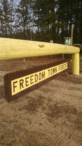 Freedom Town Forest