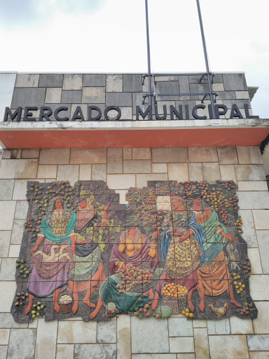 Mercado Alcobaça