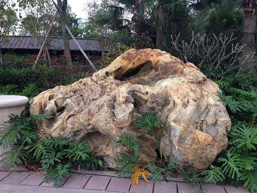 Dinosaur Head Stone