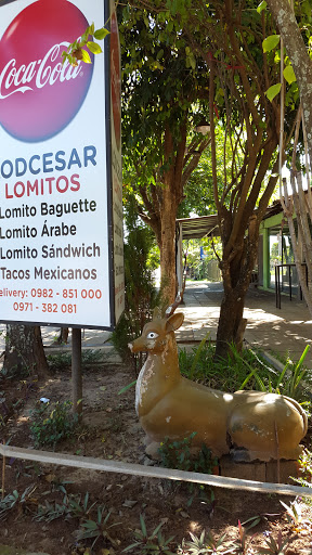 Lodcesar