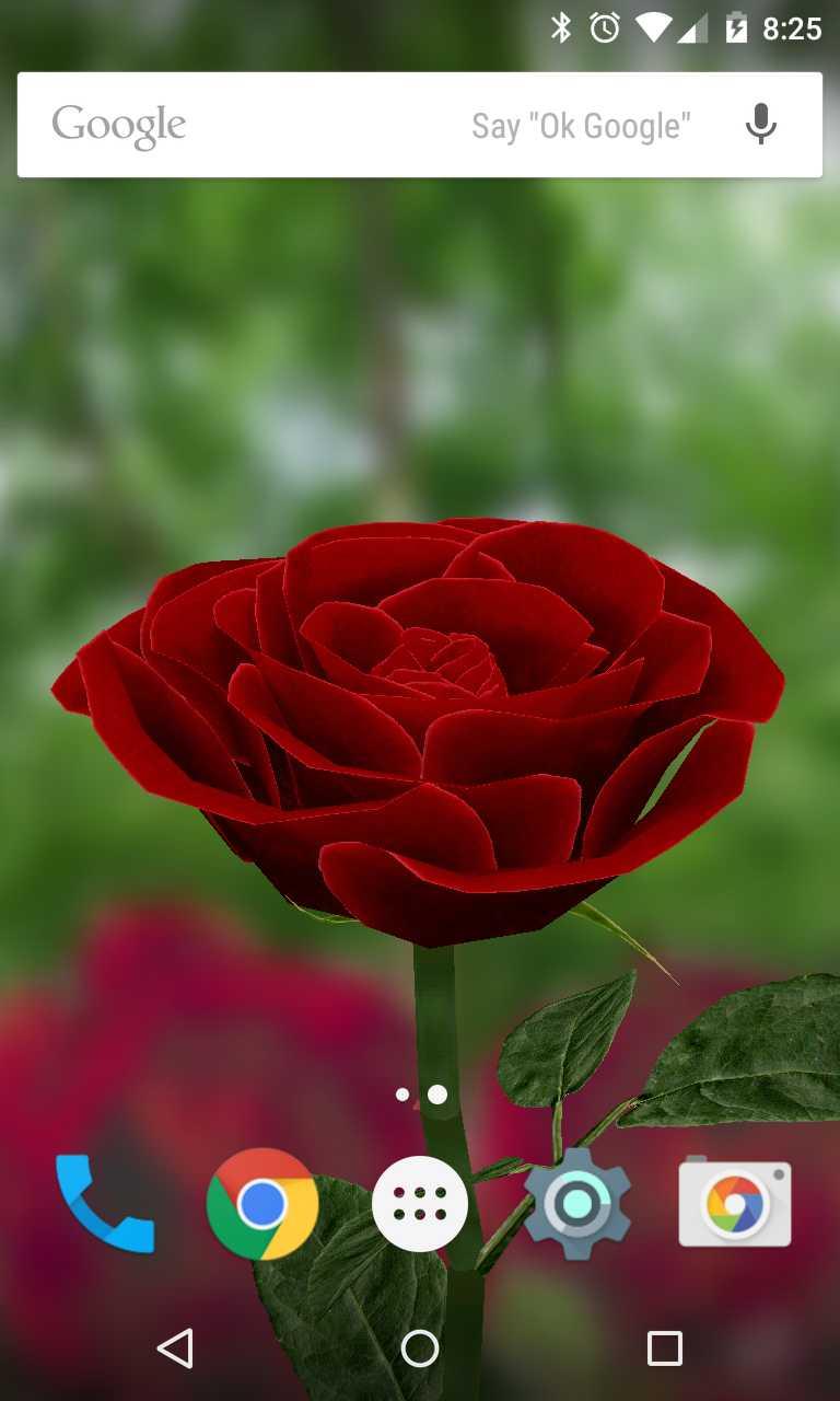 Android application 3D Rose Live Wallpaper screenshort