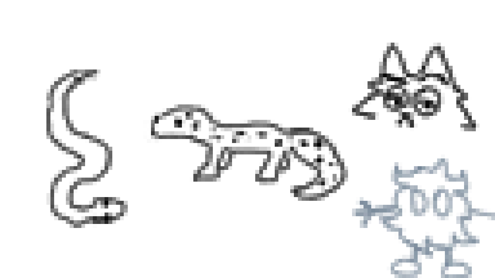 leopard gecko and other things