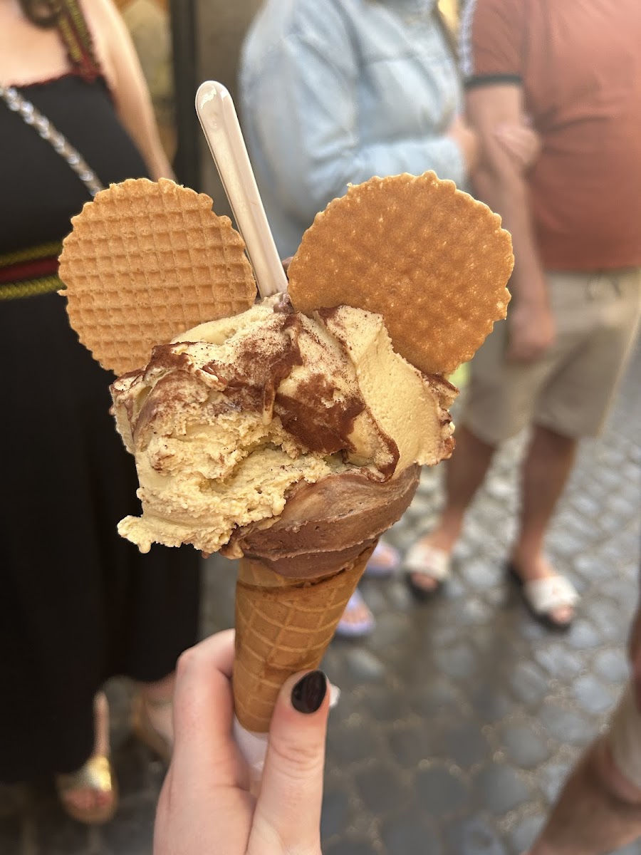 GF Nut Chocolate and Tiramisu Ice cream