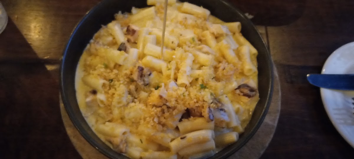 Mac and cheese with grilled chicken
