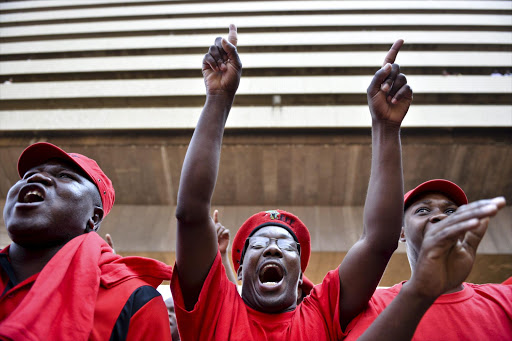 EFF supporters. File photo.