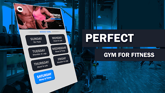 Personal Gym Exercises Daily Workouts Screenshot