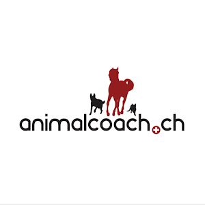 Download Dog School Animalcoach.ch ZH For PC Windows and Mac