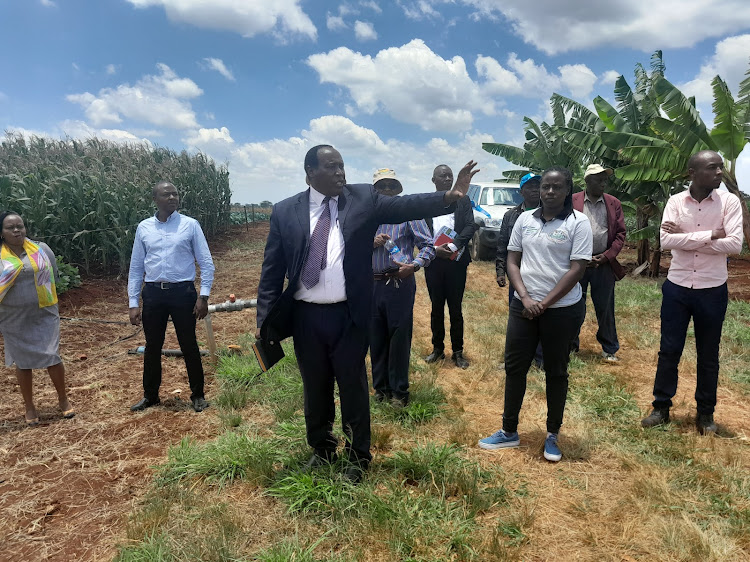KALRO Seeds Director Dr Robert Musyoki with other officials at the demo farm in Gatanga, Murang'a County Monday.