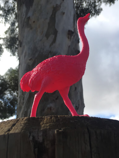 Pink Emu Artwork