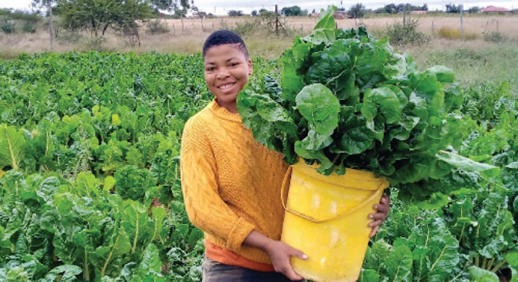 Cynthia Mokgobu's farming journey has been supported by the Limpopo department of agriculture and rural development.