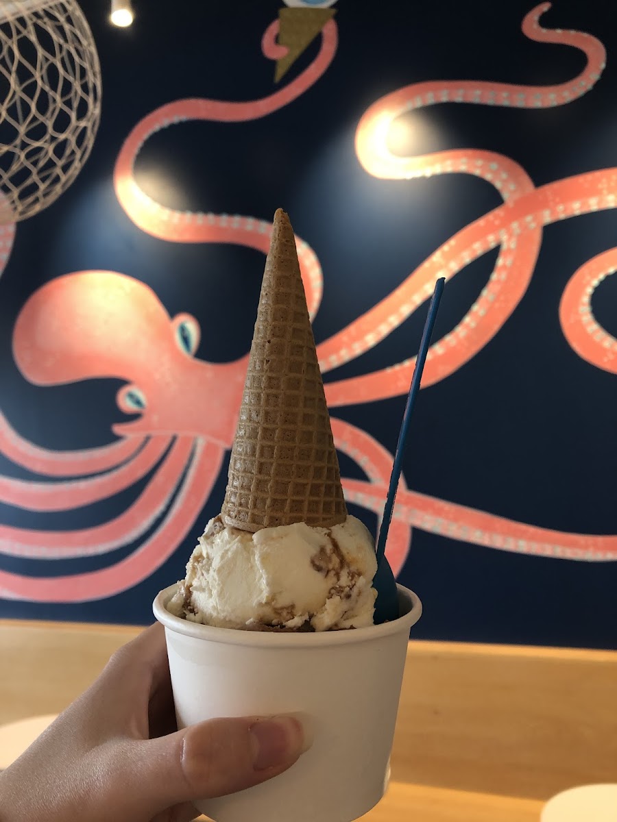 Sea Salt Brickle in cone and chocolate in cup