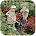 Garden Ornaments