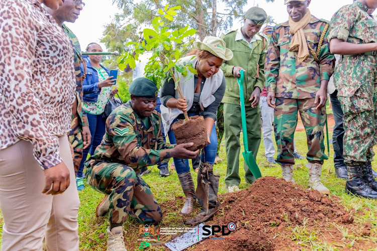 Principal Secretary Veronica Nduva plants a tree during the national tree planting exercise in Kisumu on May 10, 2024.