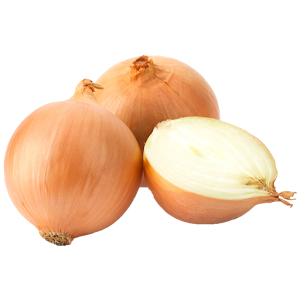 Download Onion For PC Windows and Mac