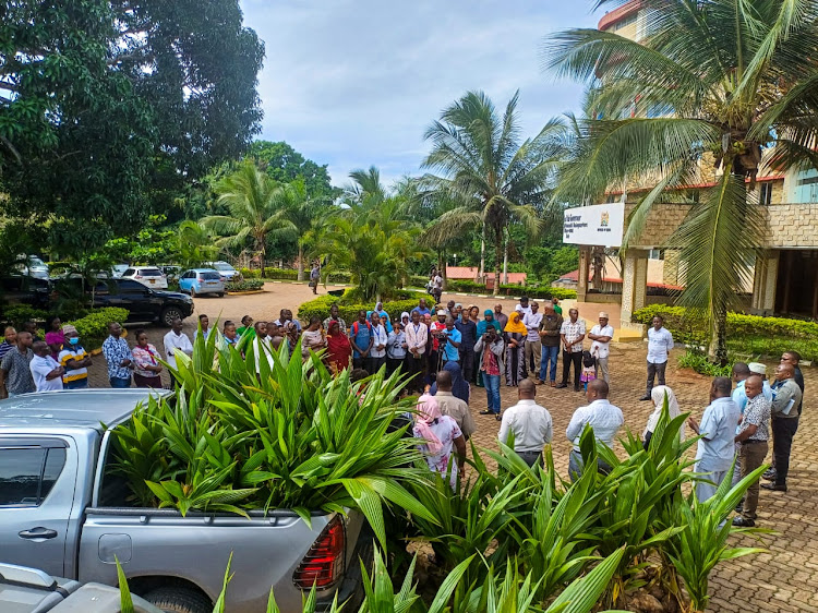 Farmers wait to receive hybrid coconut seeds in Matuga, Kwale headquarters, on Wednesday, April 24, 2024.