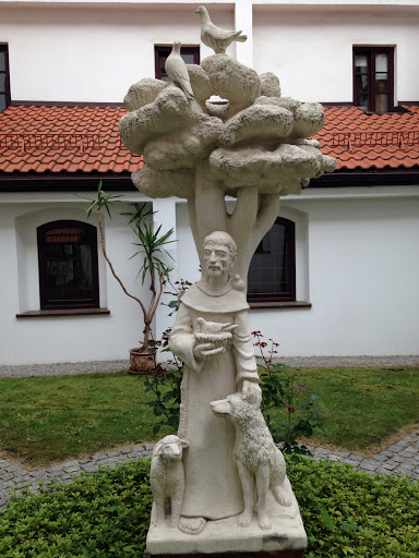 Pomnik św. Franciszka w klasztornym wirydazu