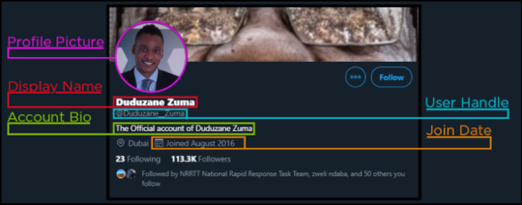 It is not clear whether the account said to belong to Duduzane Zuma is a parody.