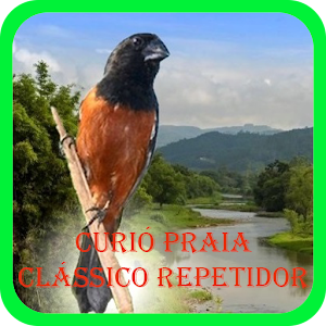 Curió Praia Clássico Repetidor Offline.apk 1.0