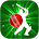 Cricket League (BPL)