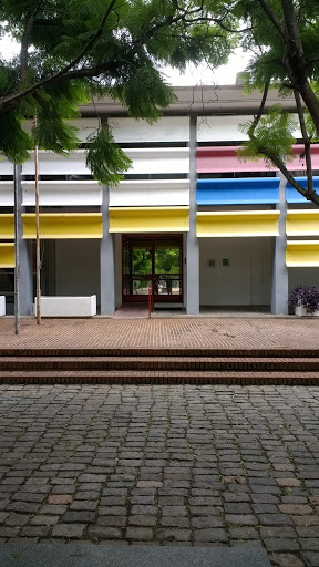 Museo Artes visuales - parque 