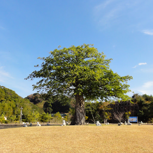 十二支が守りし巨木