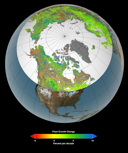 Of the 10 million square miles (26 million square kilometers) of northern vegetated lands, 34 to 41 percent showed increases in plant growth (green and blue), 3 to 5 percent showed decreases in plant growth (orange and red), and 51 to 62 percent showed no changes (yellow) over the past 30 years. Satellite data in this visualization are from the AVHRR and MODIS instruments, which contribute to a vegetation index that allows researchers to track changes in plant growth over large areas.