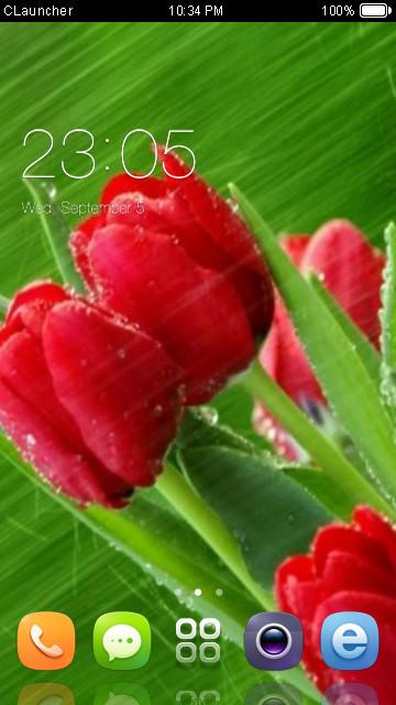 Красная роза Красивая тема HD — приложение на Android